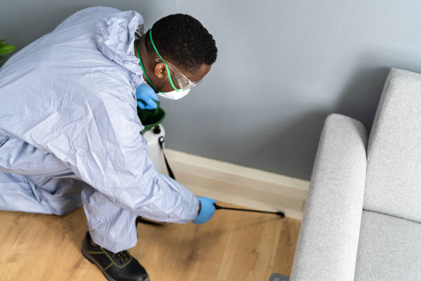 Best Termite Inspection and Treatment  in East Orange, NJ